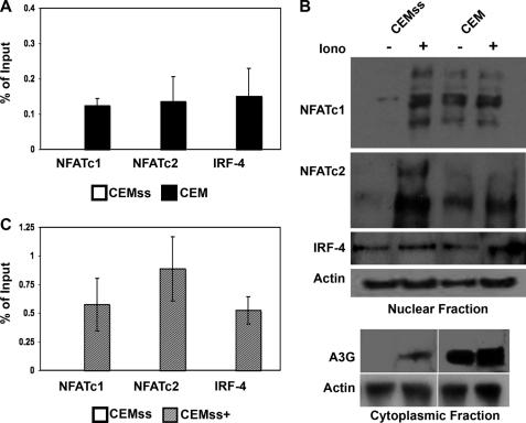 FIGURE 4.