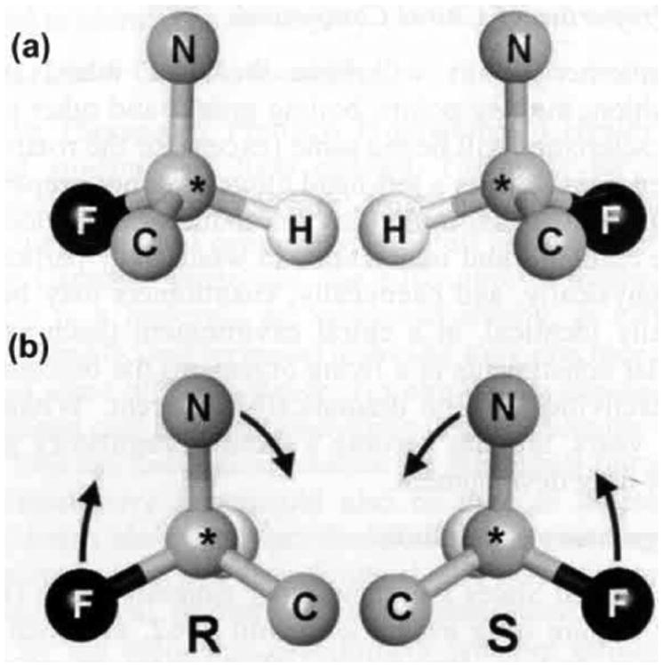 Fig. (1)