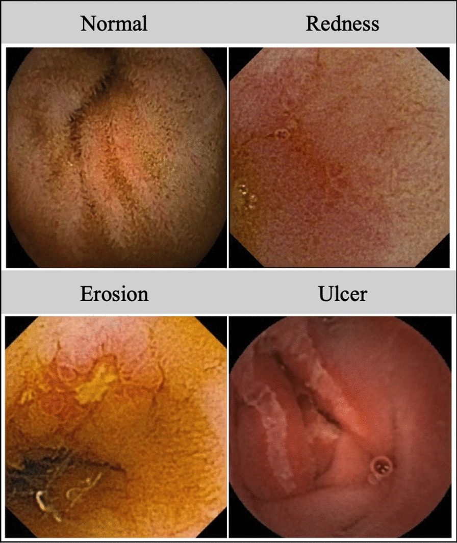 Fig. 3