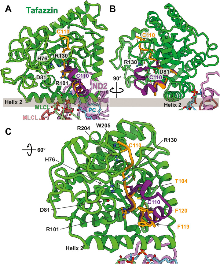 Fig. 3.