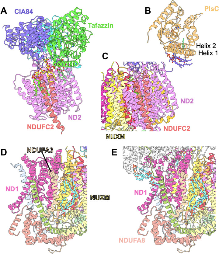 Fig. 4.