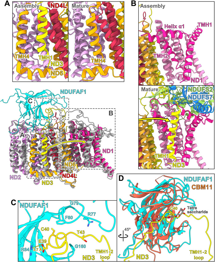 Fig. 6.