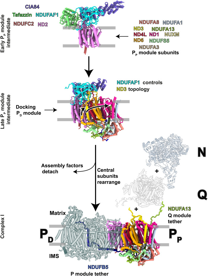 Fig. 8.