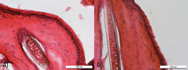 Fig. 4