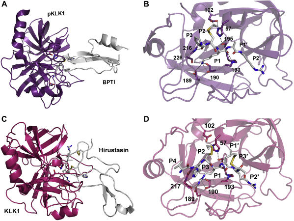 Fig. 8