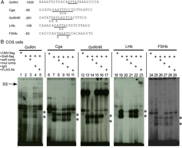 Figure 6.