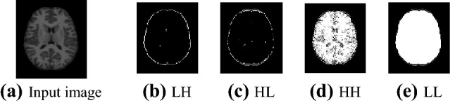 Fig. 2