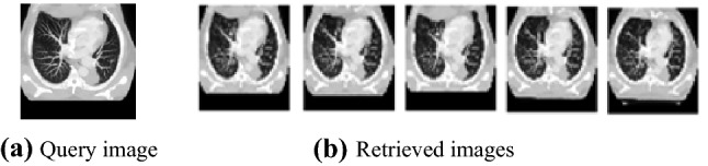 Fig. 9
