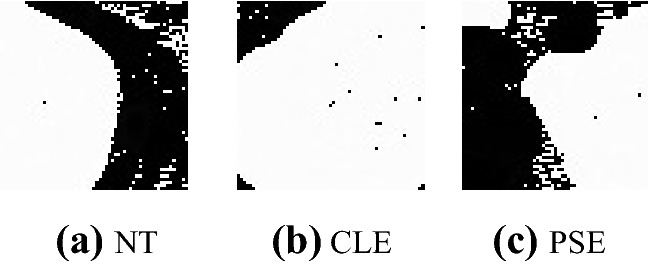 Fig. 11