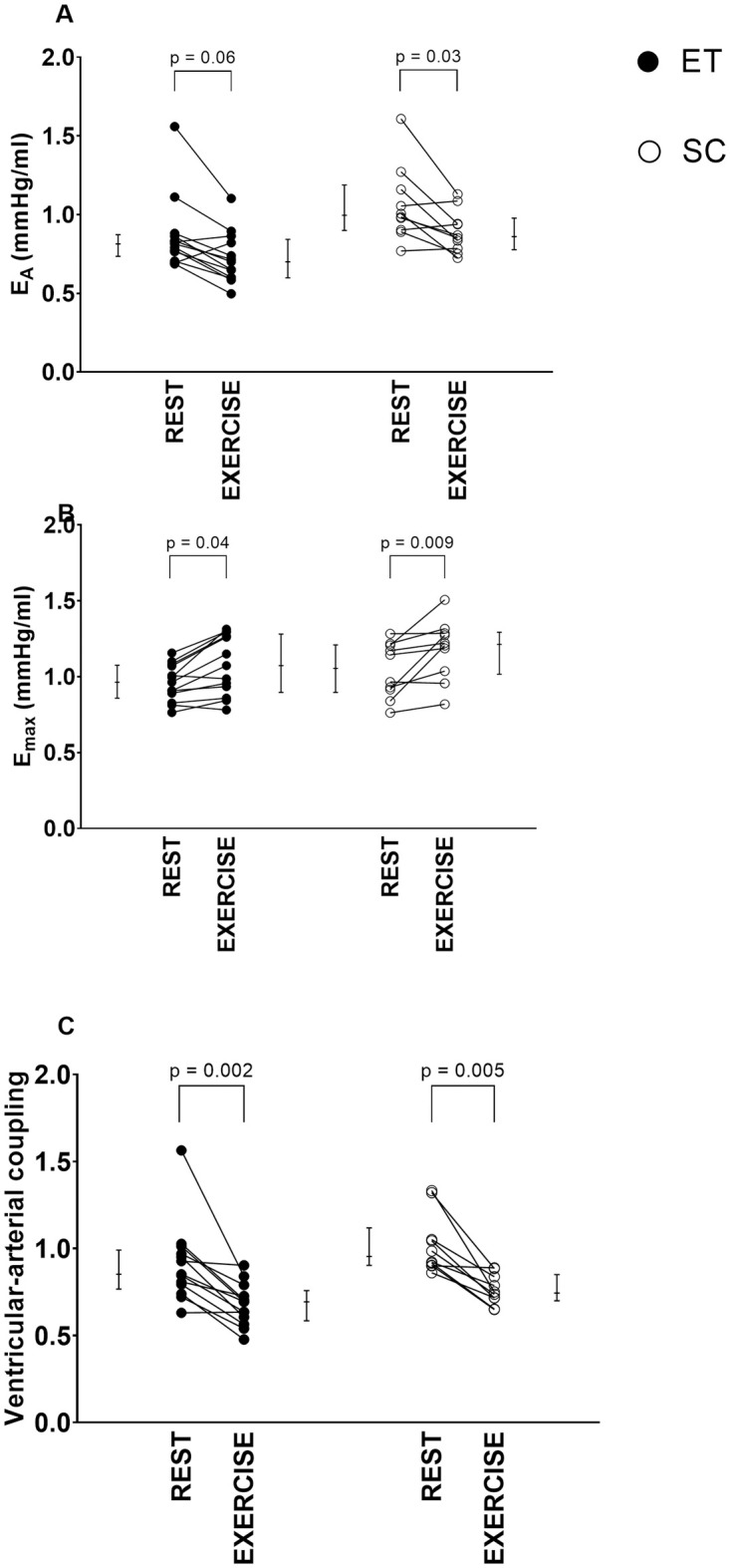 Fig 5