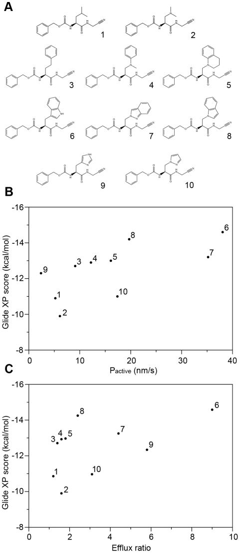 Figure 6