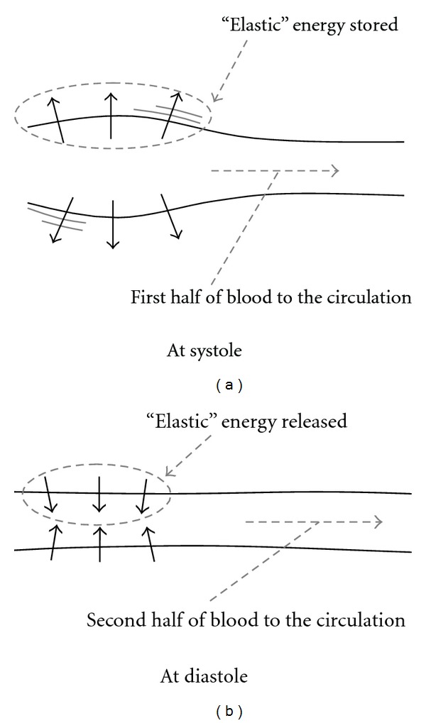 Figure 8