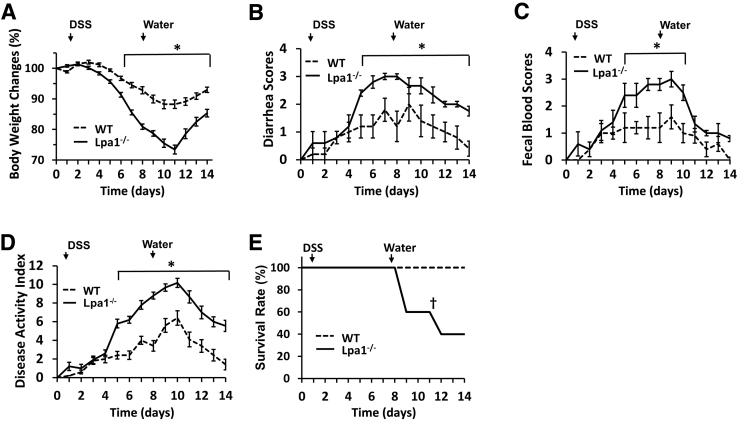 Figure 6