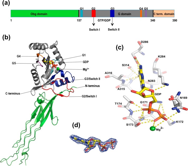 Figure 1.