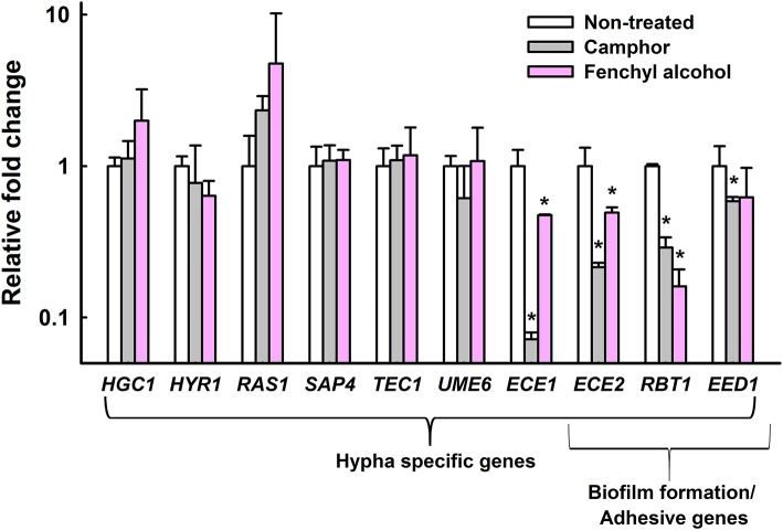 Figure 6