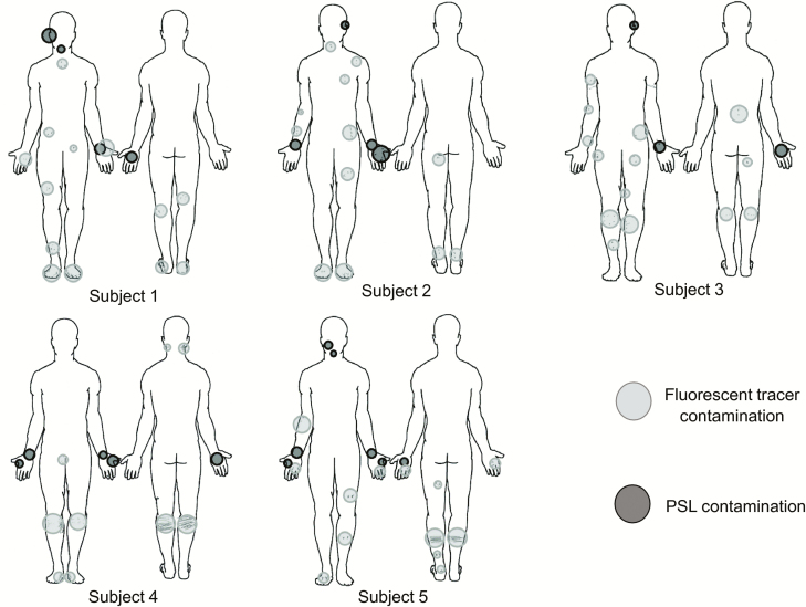 Figure 3.