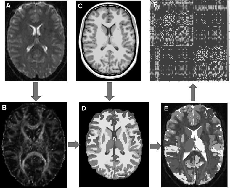 FIG. 1.