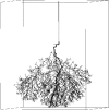 Fig. 16