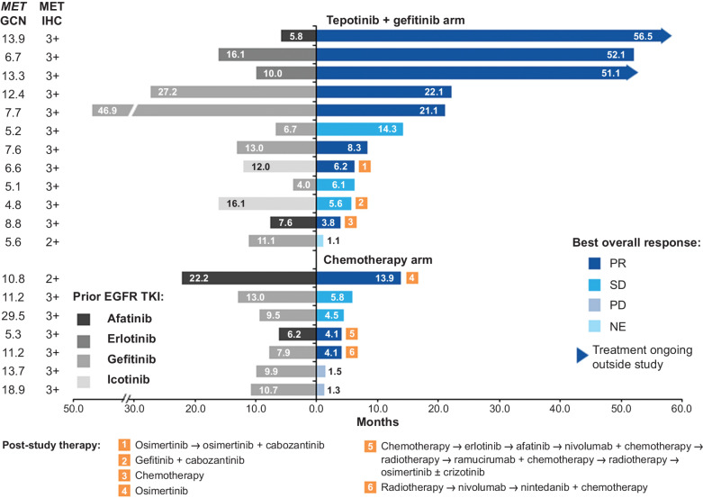 Figure 2. Treatment duration and best overall response in patients with MET amplification. NE, not evaluable; PD, progressive disease; PR, partial response; SD, stable disease.