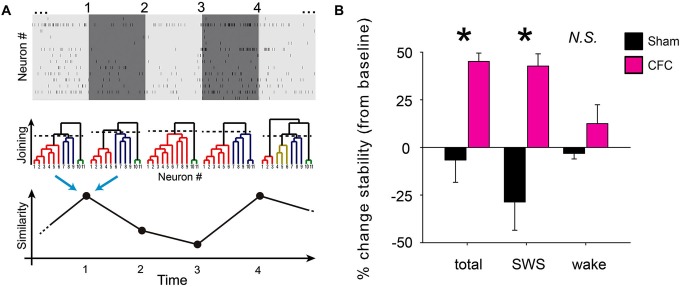 Figure 5