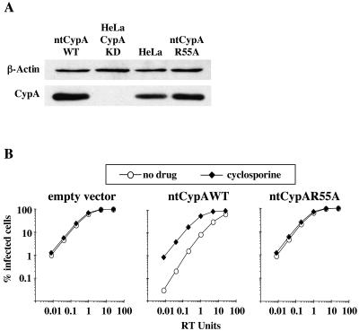 FIG. 8.