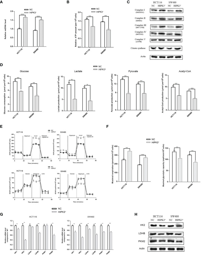 Figure 7