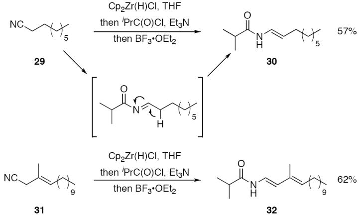 Scheme 5