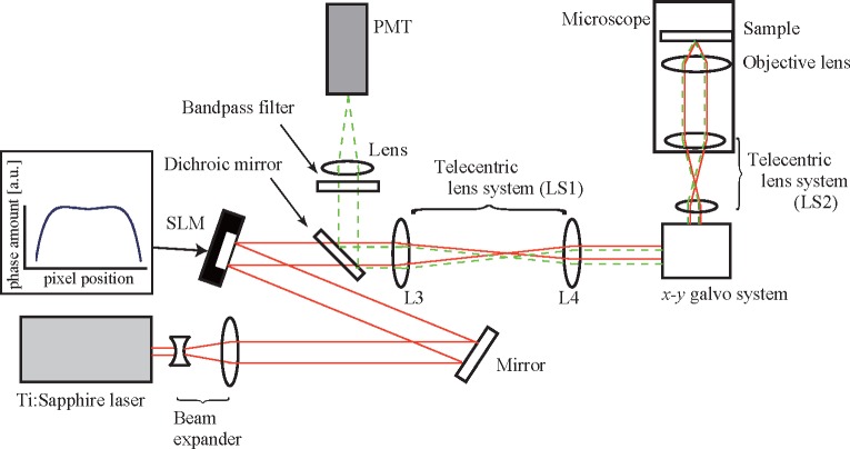 Fig. 2