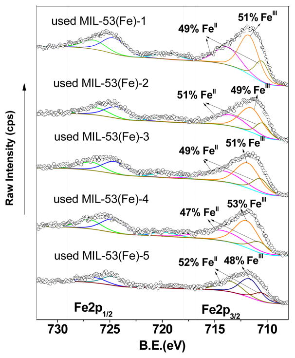 Fig. 10