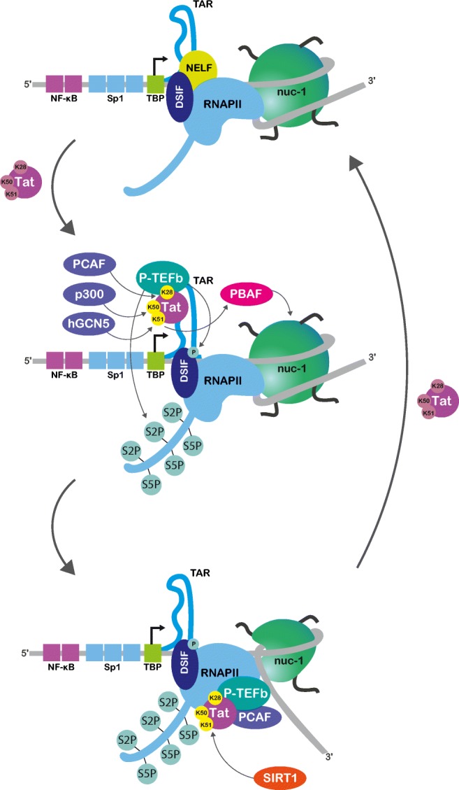 Fig. 2