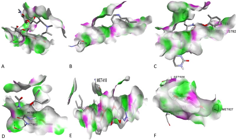 Figure 5.