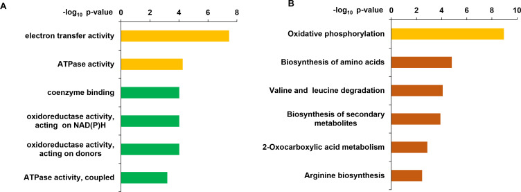 Figure 3—figure supplement 1.