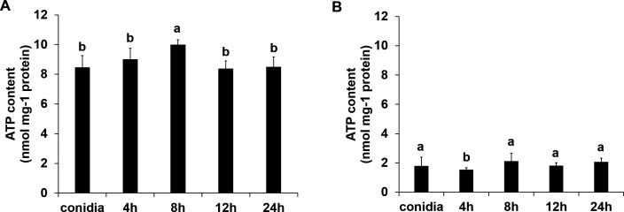 Figure 4—figure supplement 1.