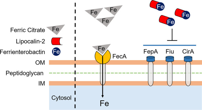 FIG 6