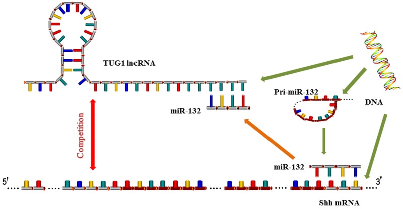 Figure 7