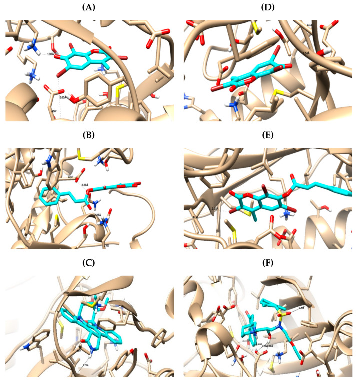 Figure 13