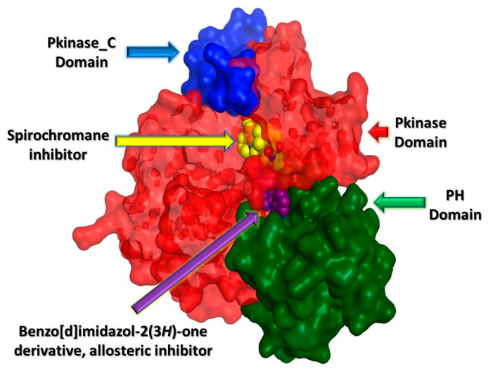 Figure 11