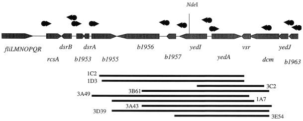 FIG. 7