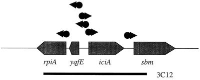 FIG. 8