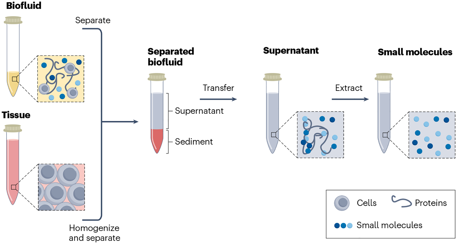 Fig. 2 |