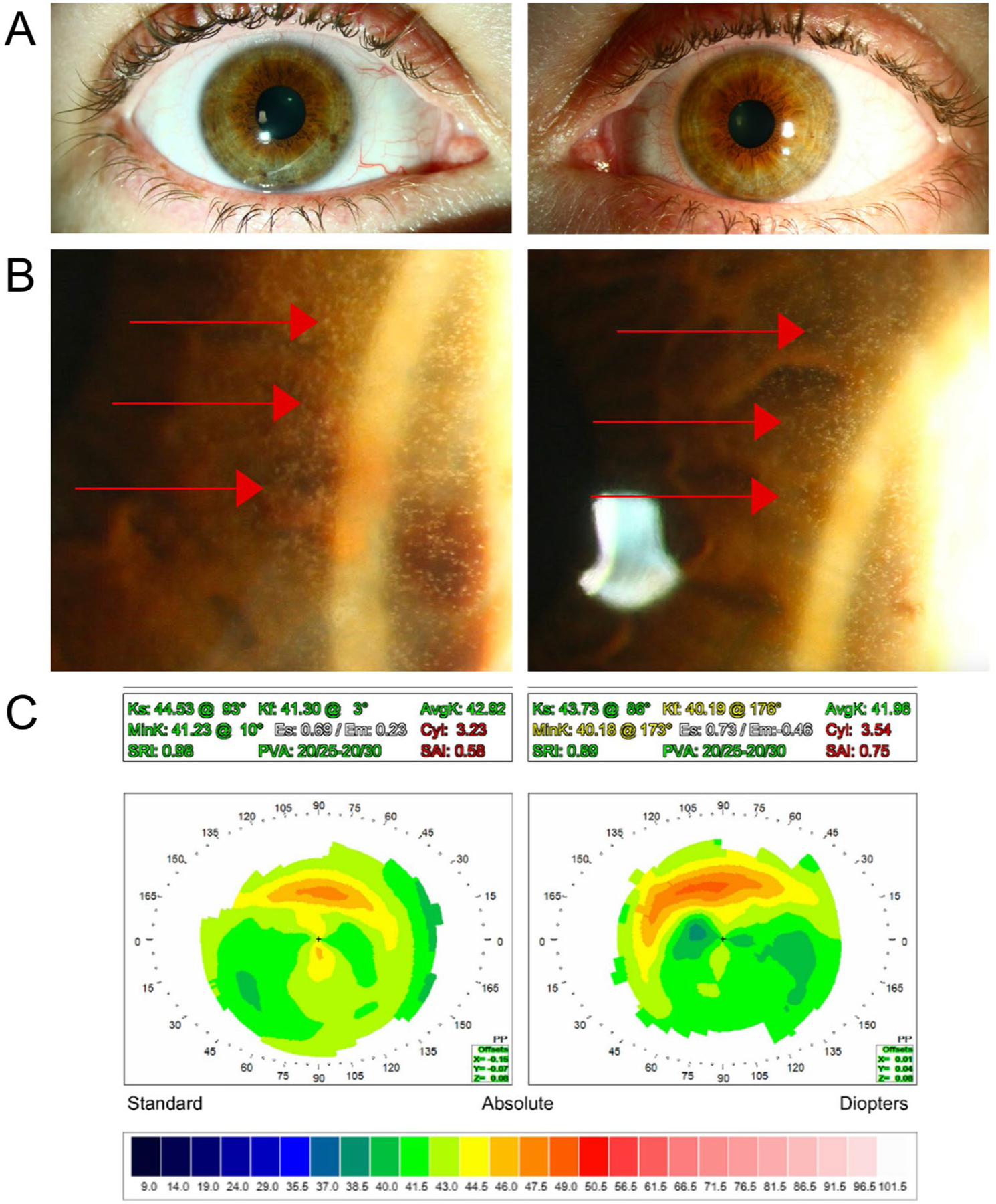 Fig. 2