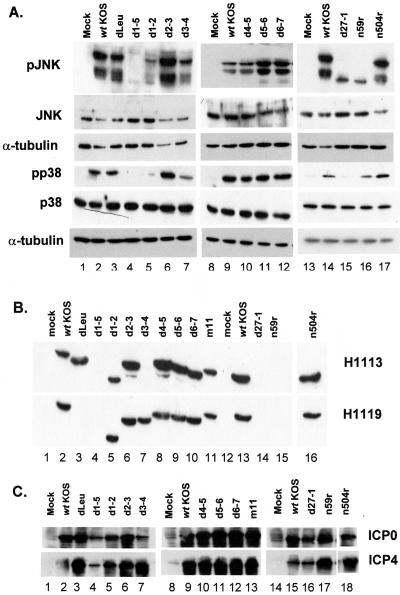 FIG. 8.