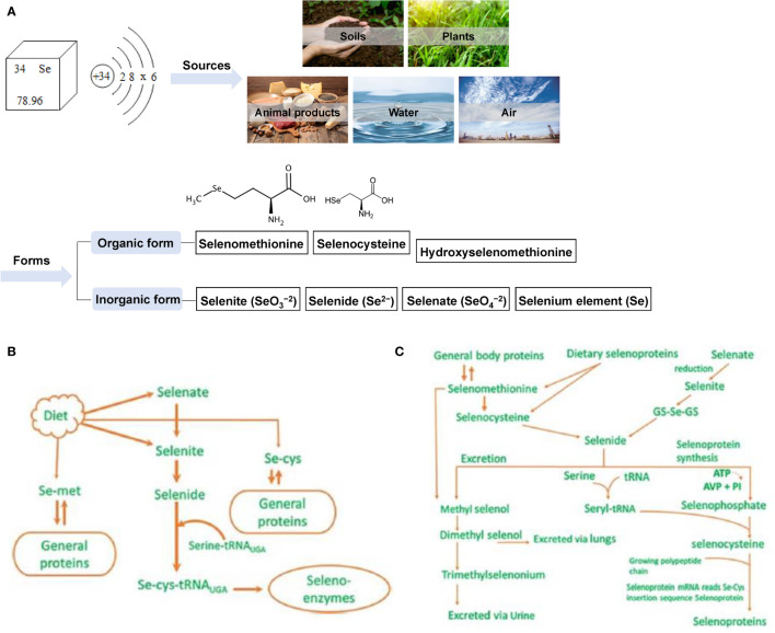 Figure 2