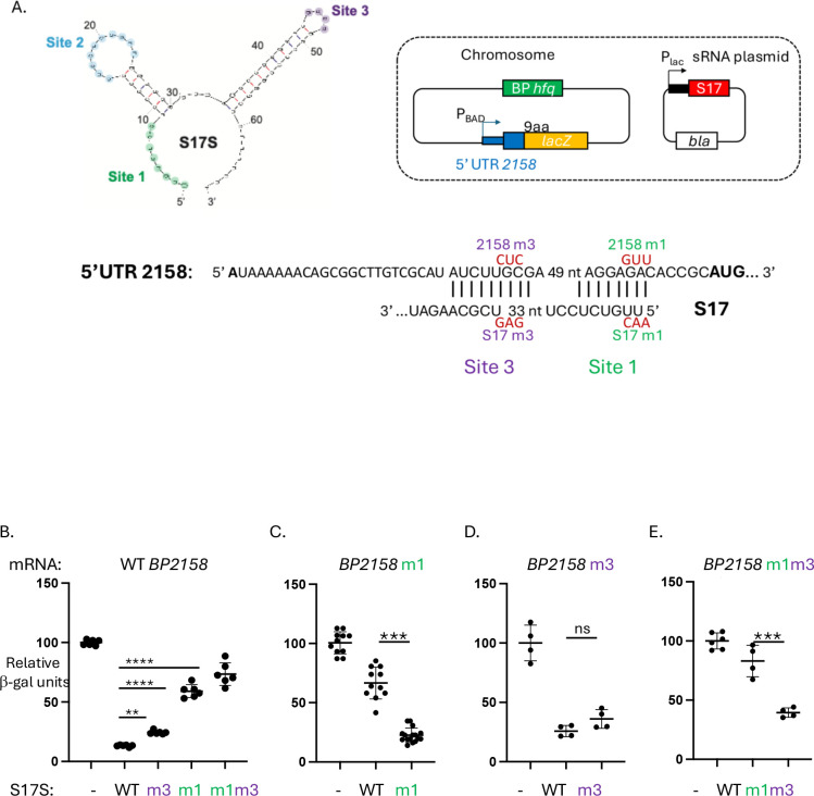 FIG 6