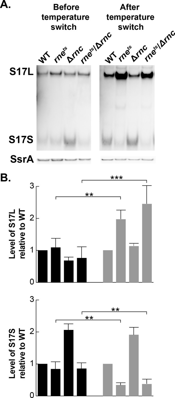 FIG 5