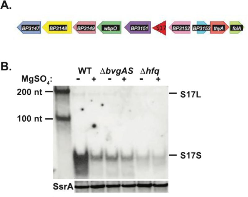 FIG 1