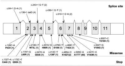 Figure  3. 