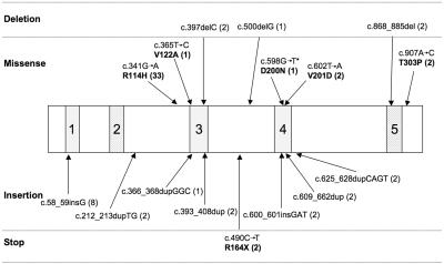 Figure  2. 