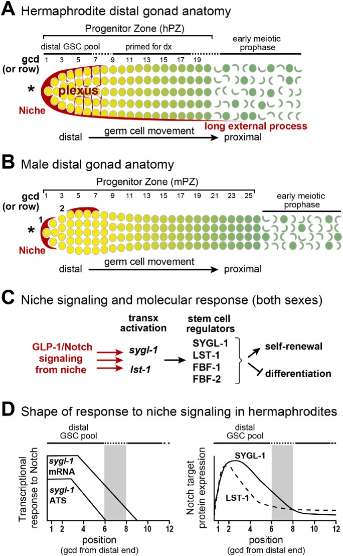 FIGURE 1: