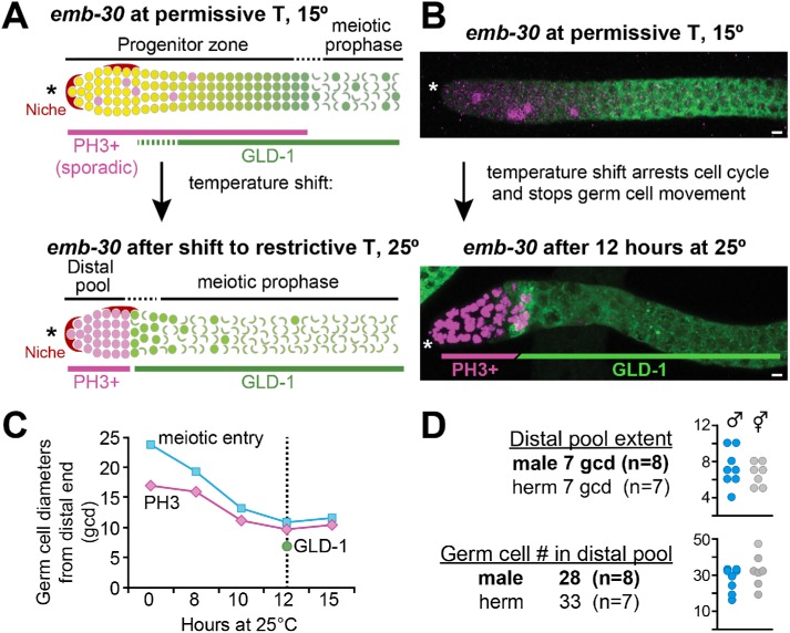 FIGURE 3: